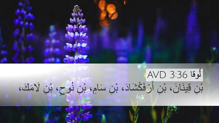 لُوقا 3:36 AVD Bible Verse Image