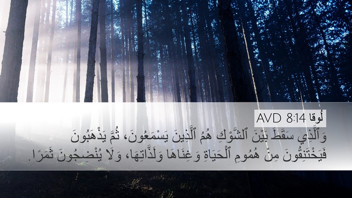 لُوقا 8:14 AVD Bible Verse Image