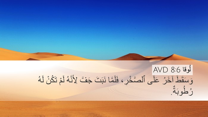 لُوقا 8:6 AVD Desktop Wallpaper - وَسَقَطَ آخَرُ عَلَى - Desktop Bible Verse Wallpaper