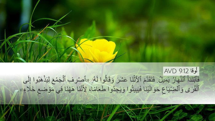 لُوقا 9:12 AVD Bible Verse Image