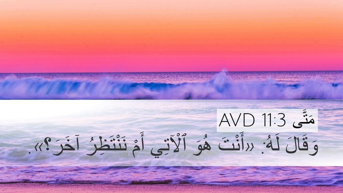 مَتَّى 11:3 AVD Bible Verse Image
