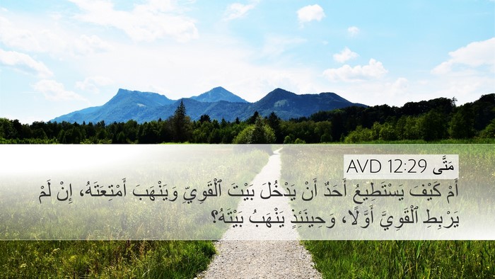 مَتَّى 12:29 AVD Bible Verse Image