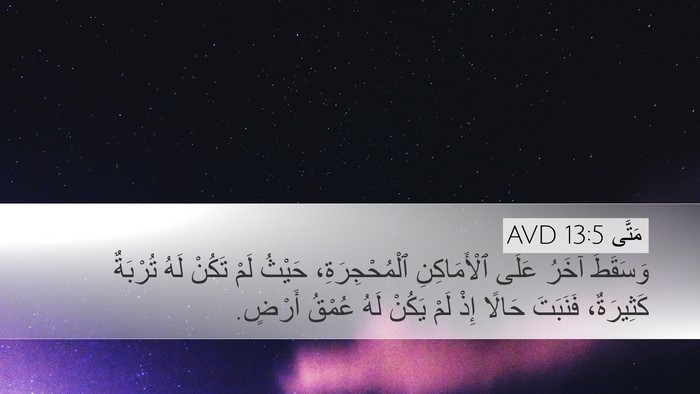 مَتَّى 13:5 AVD Desktop Wallpaper - وَسَقَطَ آخَرُ عَلَى - Desktop Bible Verse Wallpaper