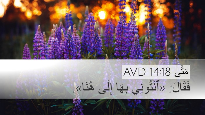 مَتَّى 14:18 AVD Desktop Wallpaper - فَقَالَ: «ٱئْتُونِي بِهَا - Desktop Bible Verse Wallpaper