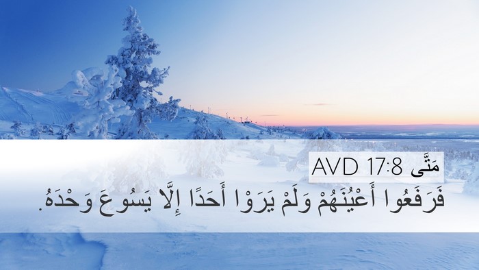 مَتَّى 17:8 AVD Bible Verse Image