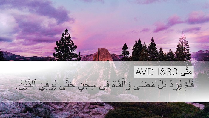 مَتَّى 18:30 AVD Desktop Wallpaper - فَلَمْ يُرِدْ بَلْ مَضَى - Desktop Bible Verse Wallpaper