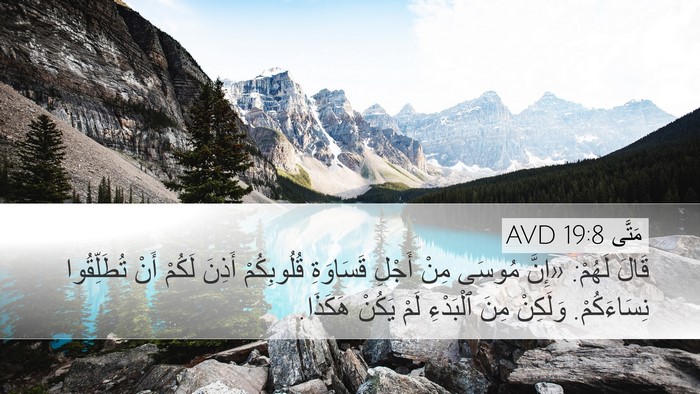 مَتَّى 19:8 AVD Bible Verse Image