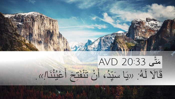مَتَّى 20:33 AVD Desktop Wallpaper - قَالَا لَهُ: «يَا سَيِّدُ، - Desktop Bible Verse Wallpaper