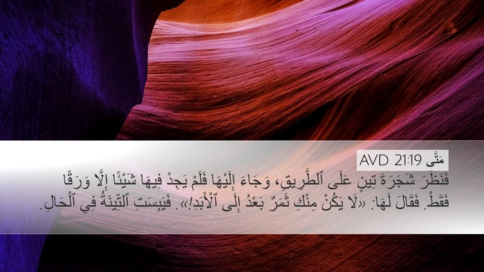 مَتَّى 21:19 AVD Bible Verse Image