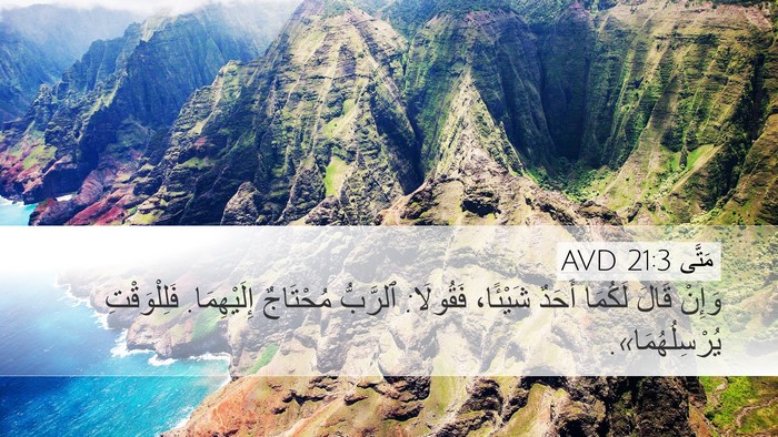 مَتَّى 21:3 AVD Bible Verse Image