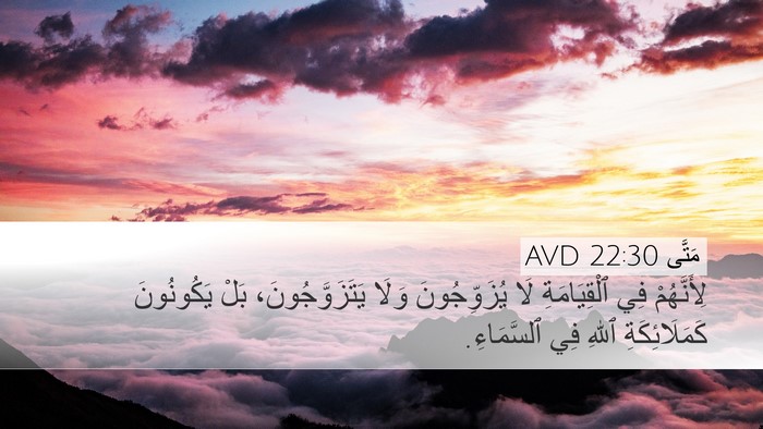 مَتَّى 22:30 AVD Bible Verse Image