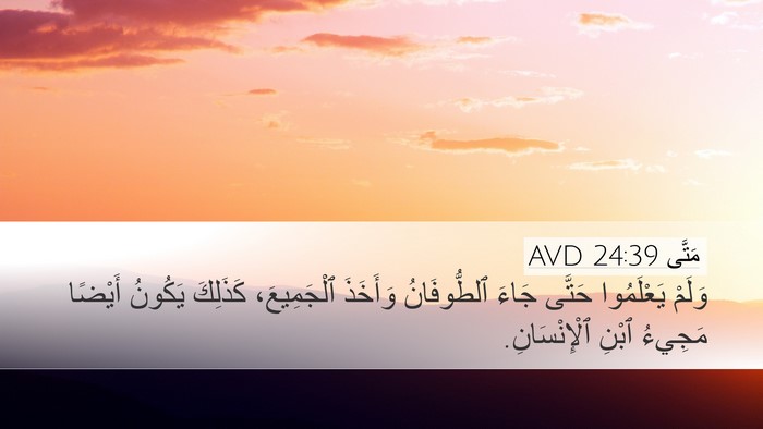 مَتَّى 24:39 AVD Bible Verse Image