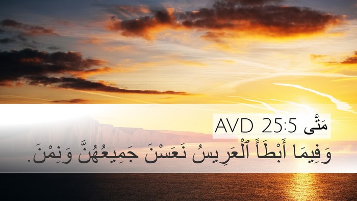 مَتَّى 25:5 AVD Bible Verse Image