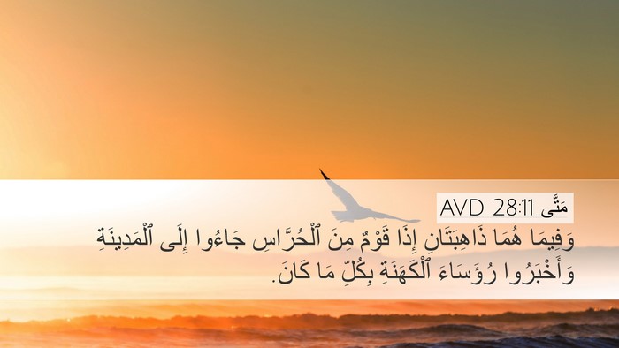 مَتَّى 28:11 AVD Bible Verse Image