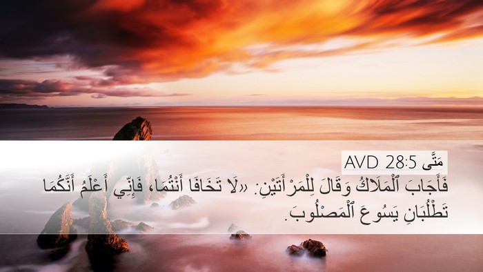 مَتَّى 28:5 AVD Bible Verse Image