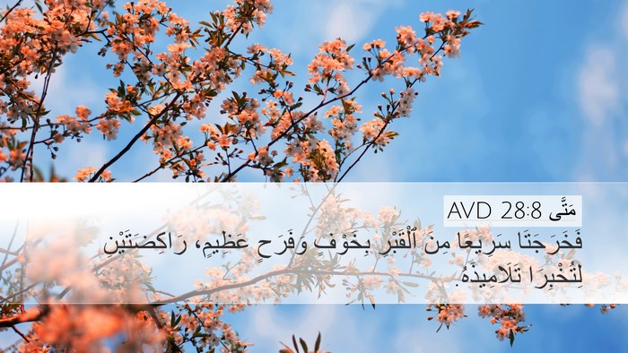 مَتَّى 28:8 AVD Bible Verse Image
