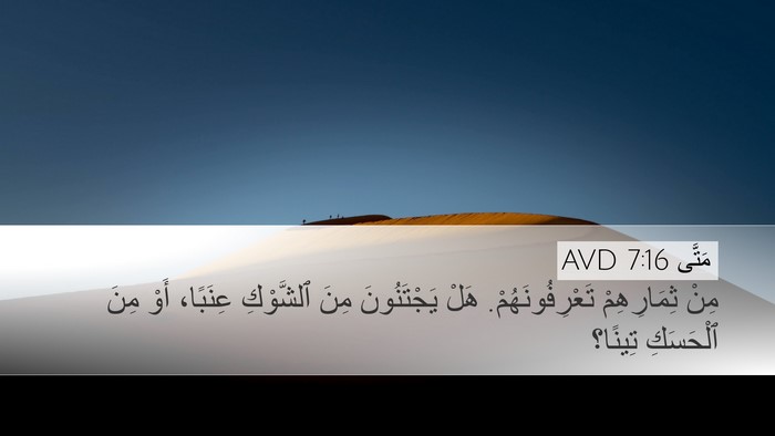 مَتَّى 7:16 AVD Bible Verse Image