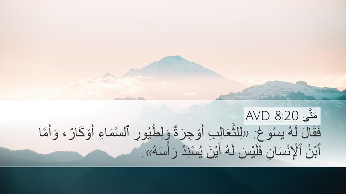 مَتَّى 8:20 AVD Bible Verse Image