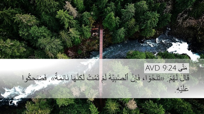مَتَّى 9:24 AVD Bible Verse Image