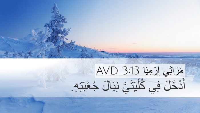 مَرَاثِي إِرْمِيَا 3:13 AVD Bible Verse Image