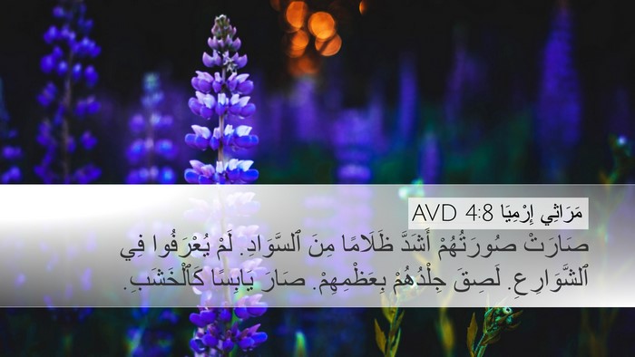 مَرَاثِي إِرْمِيَا 4:8 AVD Bible Verse Image