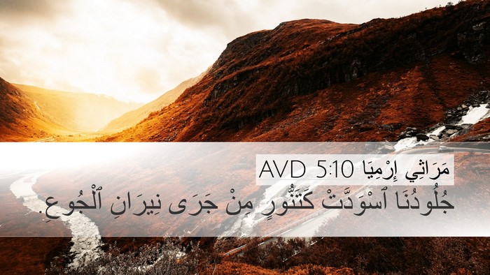 مَرَاثِي إِرْمِيَا 5:10 AVD Bible Verse Image