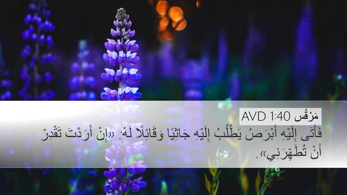 مَرْقُس 1:40 AVD Bible Verse Image