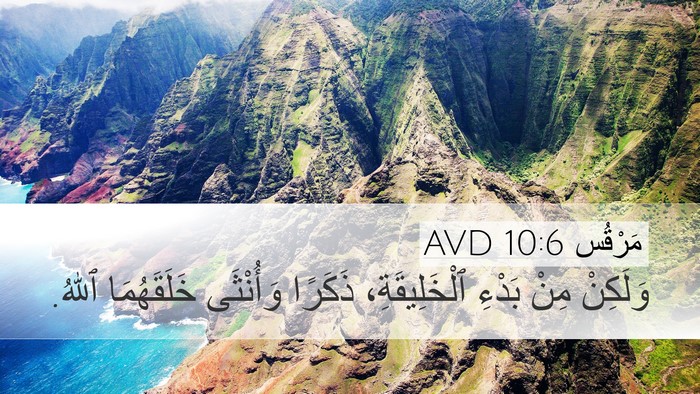 مَرْقُس 10:6 AVD Bible Verse Image