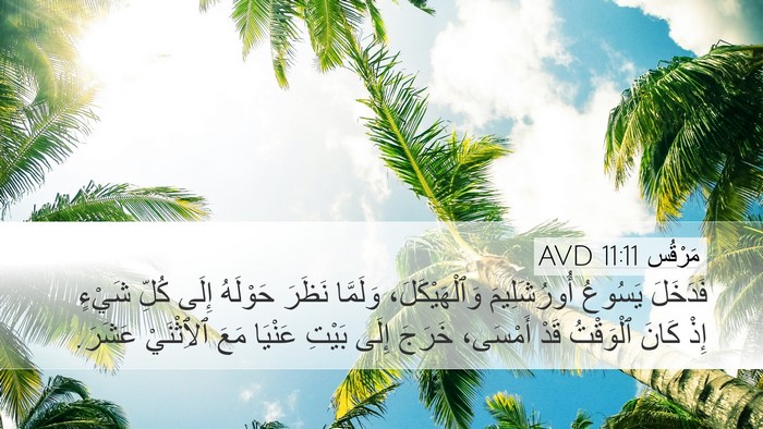 مَرْقُس 11:11 AVD Bible Verse Image