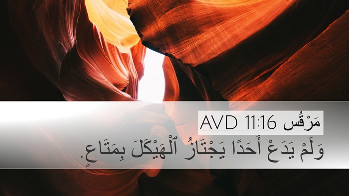 مَرْقُس 11:16 AVD Desktop Wallpaper - وَلَمْ يَدَعْ أَحَدًا - Desktop Bible Verse Wallpaper
