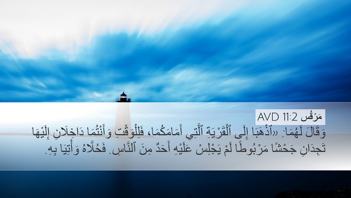 مَرْقُس 11:2 AVD Bible Verse Image