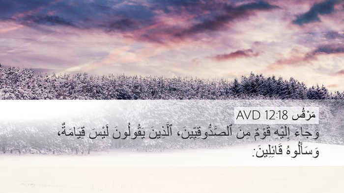 مَرْقُس 12:18 AVD Bible Verse Image