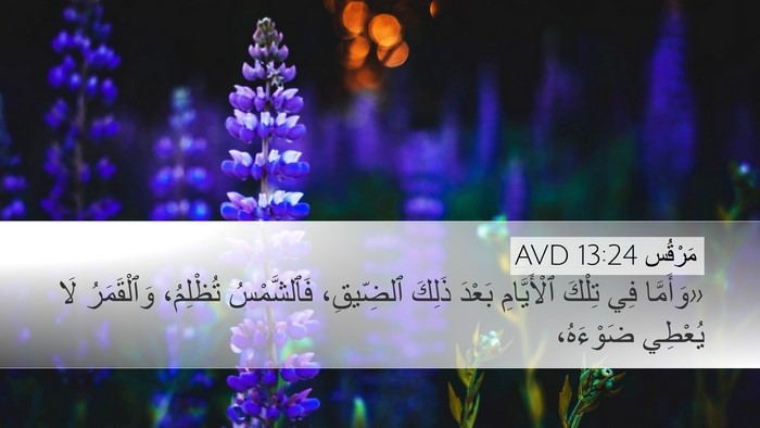 مَرْقُس 13:24 AVD Bible Verse Image