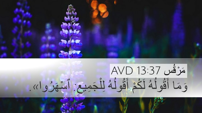 مَرْقُس 13:37 AVD Bible Verse Image