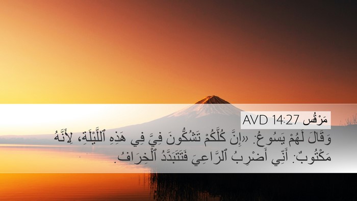 مَرْقُس 14:27 AVD Bible Verse Image