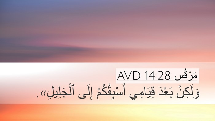 مَرْقُس 14:28 AVD Bible Verse Image