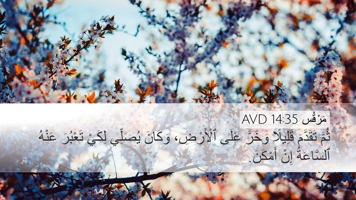 مَرْقُس 14:35 AVD Bible Verse Image