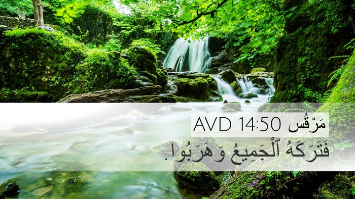 مَرْقُس 14:50 AVD Bible Verse Image