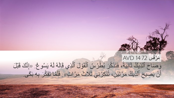 مَرْقُس 14:72 AVD Bible Verse Image