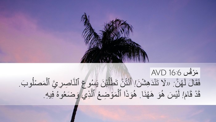 مَرْقُس 16:6 AVD Bible Verse Image