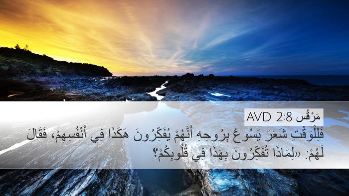 مَرْقُس 2:8 AVD Bible Verse Image