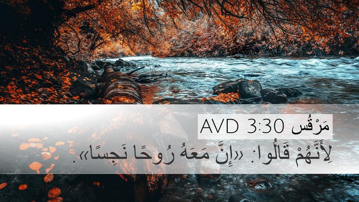 مَرْقُس 3:30 AVD Bible Verse Image