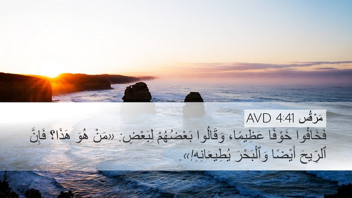 مَرْقُس 4:41 AVD Bible Verse Image