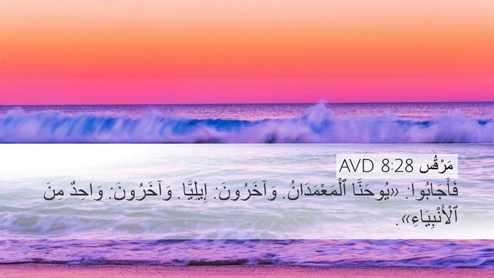 مَرْقُس 8:28 AVD Bible Verse Image
