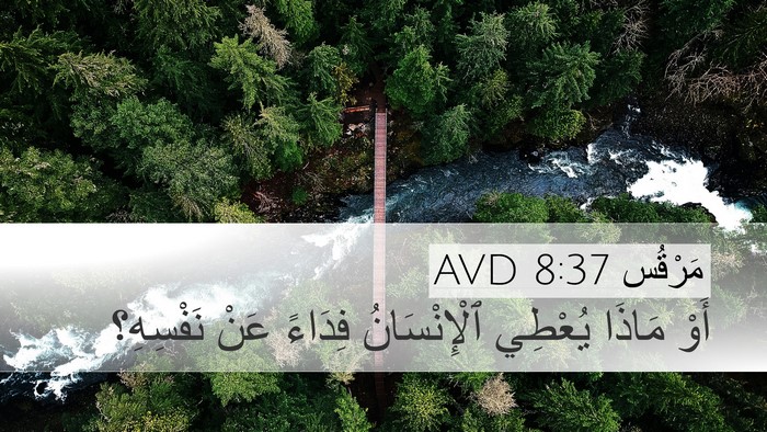 مَرْقُس 8:37 AVD Desktop Wallpaper - أَوْ مَاذَا يُعْطِي - Desktop Bible Verse Wallpaper