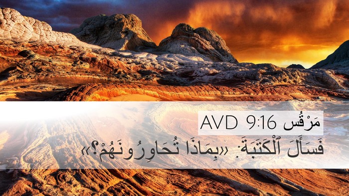مَرْقُس 9:16 AVD Desktop Wallpaper - فَسَأَلَ ٱلْكَتَبَةَ: - Desktop Bible Verse Wallpaper