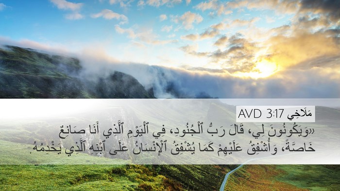 مَلَاخِي 3:17 AVD Bible Verse Image
