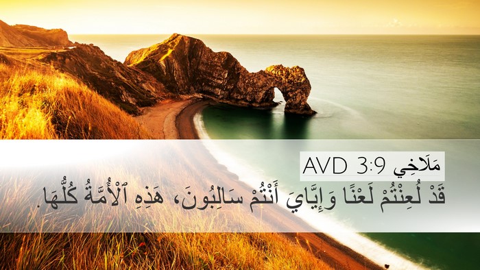 مَلَاخِي 3:9 AVD Bible Verse Image