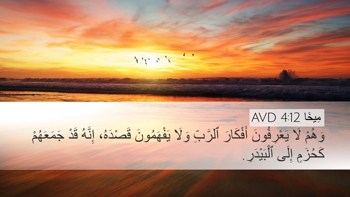 مِيخَا 4:12 AVD Bible Verse Image