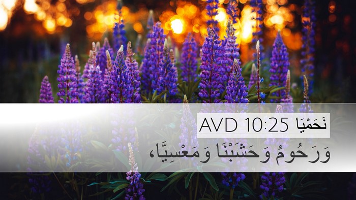 نَحَمْيَا 10:25 AVD Desktop Wallpaper - وَرَحُومُ وَحَشَبْنَا - Desktop Bible Verse Wallpaper